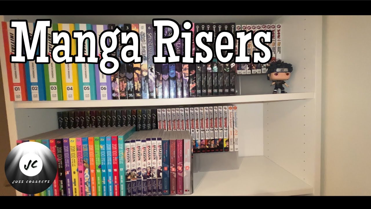 Cheap Manga Shelf Risers