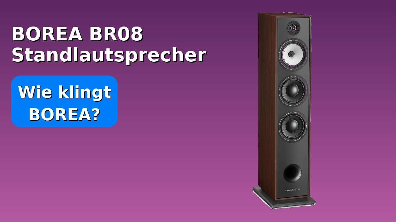 BEWERTUNG (2025): BOREA BR08 Standlautsprecher. WESENTLICHE Einzelheiten