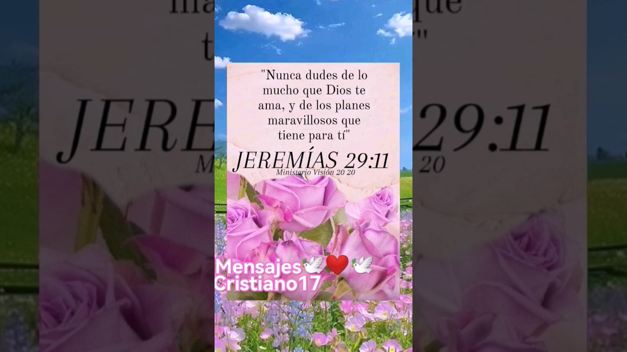 palabra de vida ❤️🕊️ #fe #palabradevida #amor