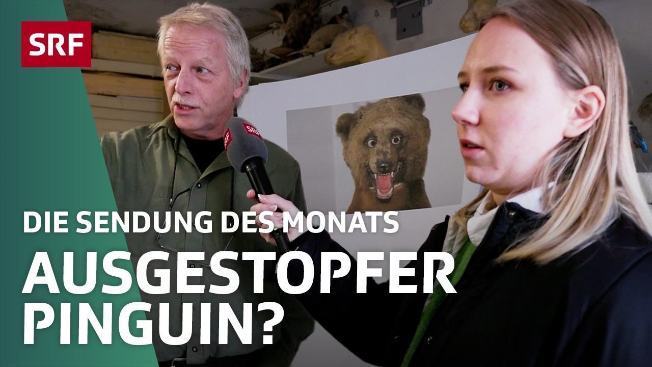 Nora Binkert: Tierpräparator | Satire | Die Sendung des Monats | SRF