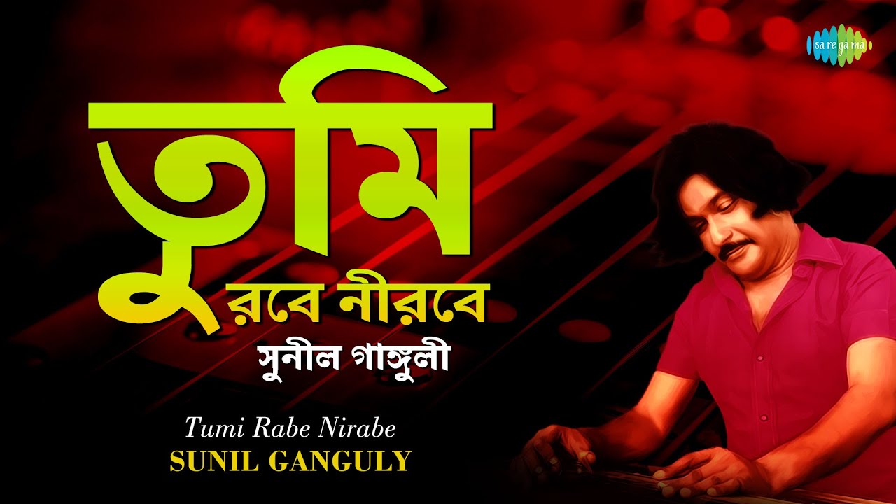 Tumi Robe Nirobe - Instrumental Songs | Sunil Ganguly | Moyna Balo Tumi | Muchhe Jaoya Dinguli