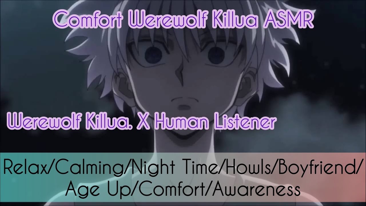 Comforting WereWolf Killua ASMR (Werewolf Killua x Human Listener)