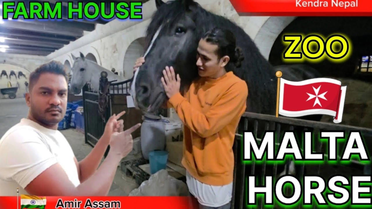 🇲🇹 MALTA ZOO | HORSE FARM HOUSE | NEPAL BOY KENDRA | INDIAN  AMIR ASSAM