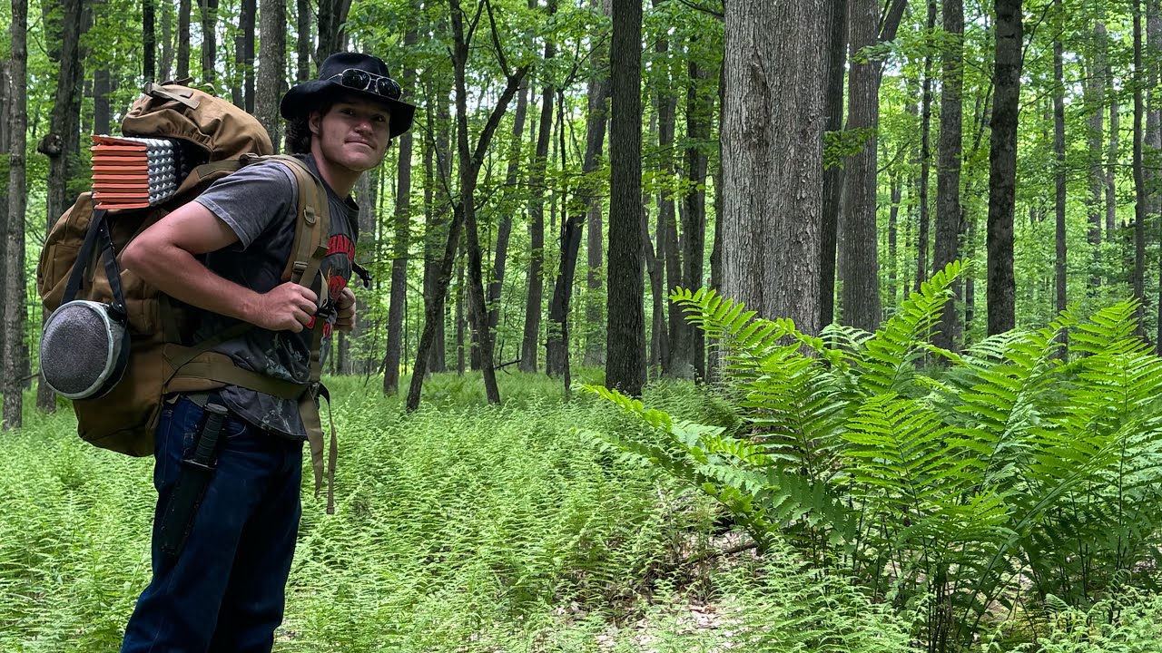 🏕️ Solo Camping & 3-Mile Hike Through the Allegheny Hills | Peaceful Nature Adventure 🌲