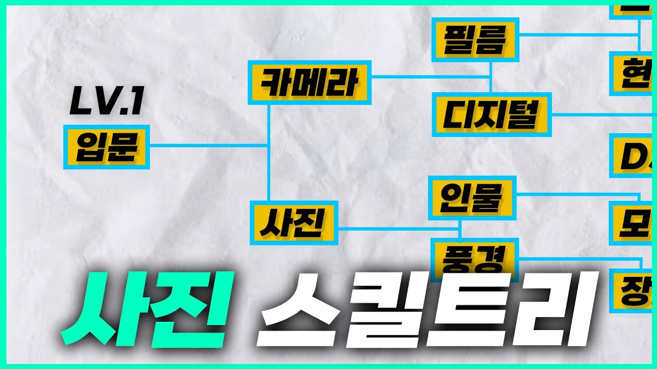 사진 스킬 트리 알아보기 : 내 스킬은 종결일까?