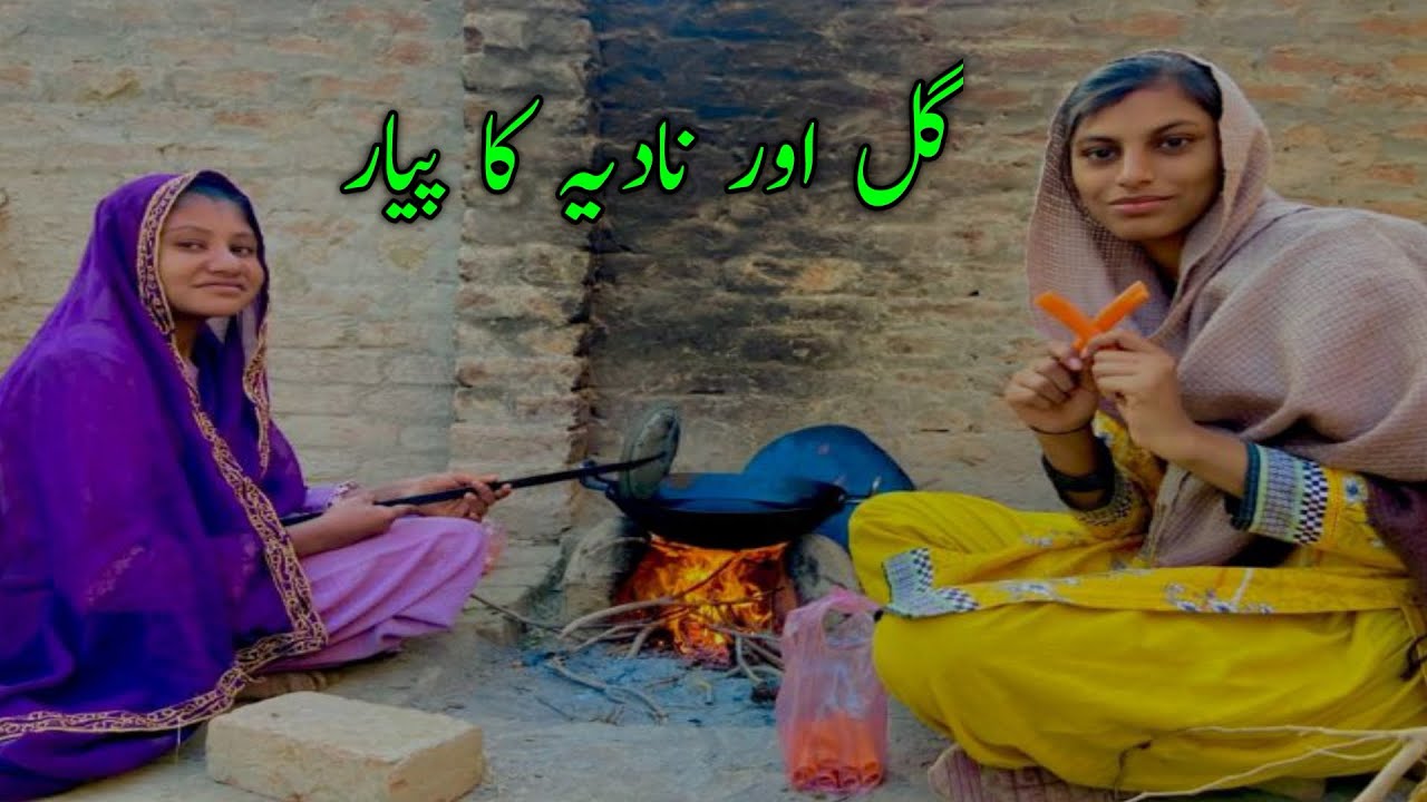نادیہ کے گھر کے کام کتنے مشکل ہیں اج اس وگ میں ضرور دیکھنا🤲😀#funny