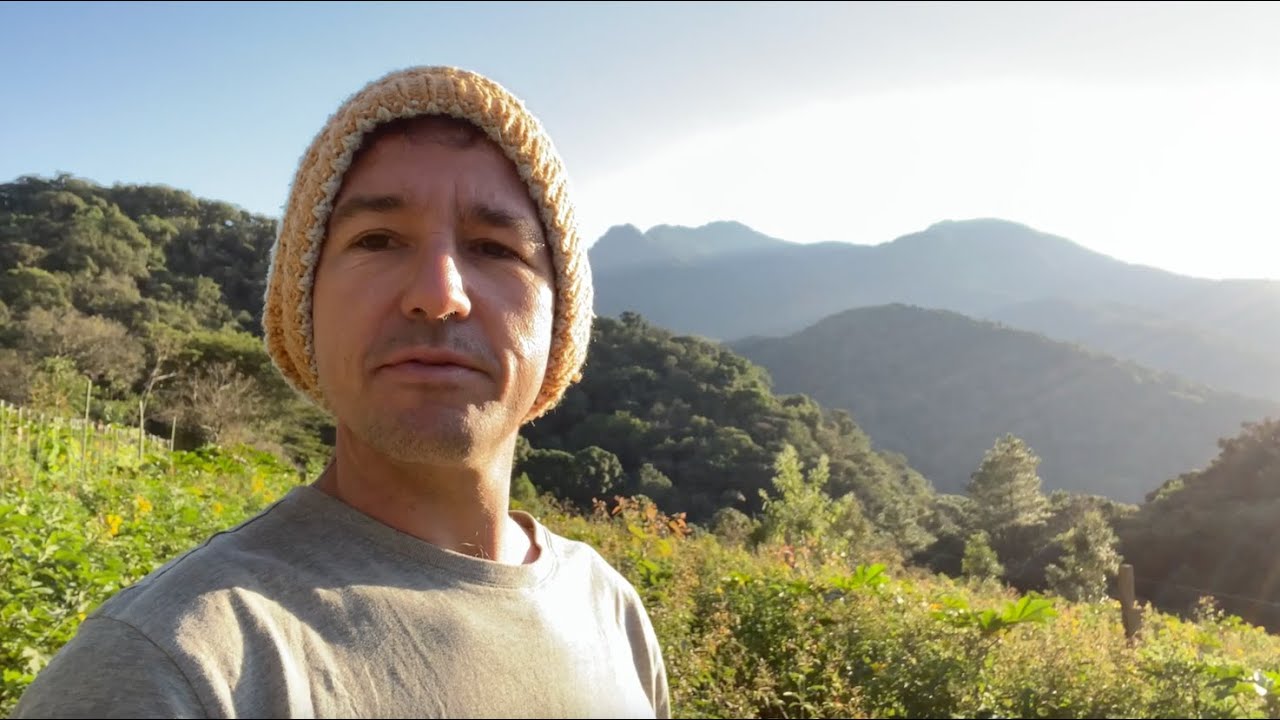 How to Manage a Syntropic Organism based on Reality: not guruship, textbooks or calendars!!