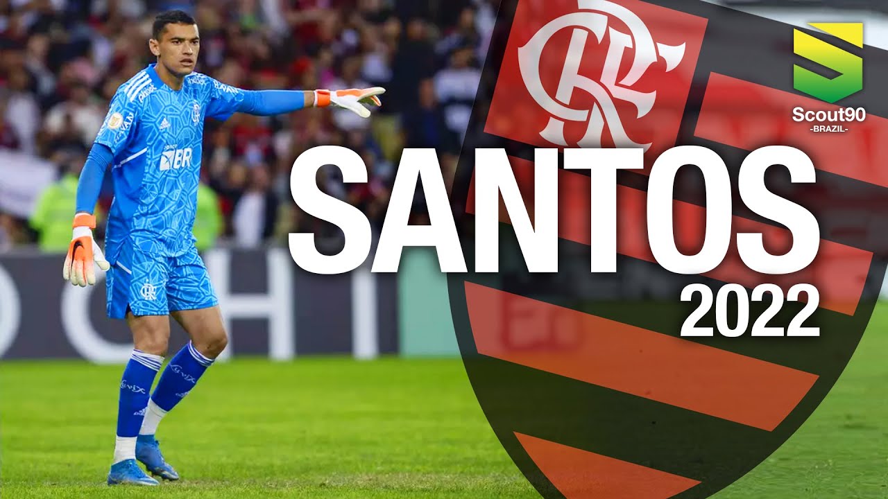Santos 2022 - Defesas Incríveis - Flamengo | HD