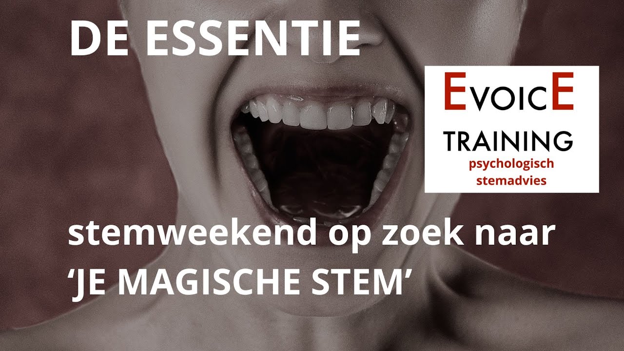 Wat maakt dat een stem raakt? 