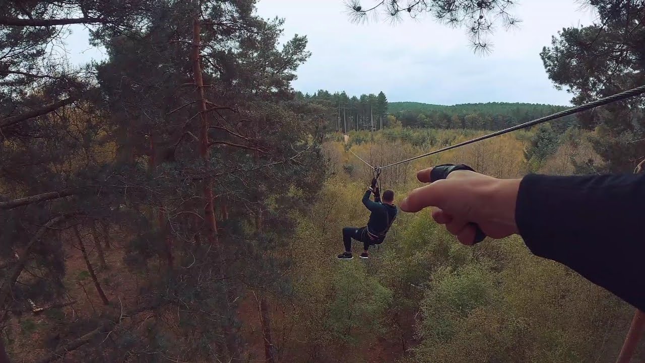 Go Ape Cannock Treetop Challenge