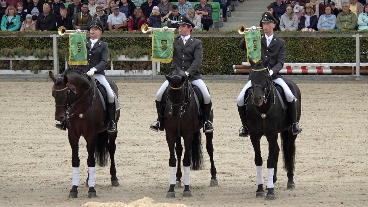 Hengstparade Moritzburg      23.09.2023                        Stallion parade Germany