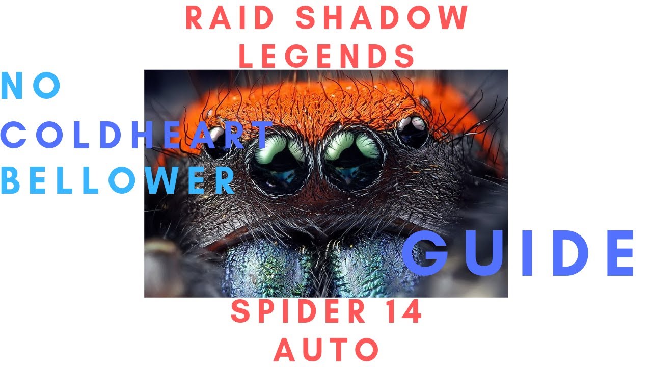 Raid: Shadow Legends - Spider 14 Auto - No Coldheart & Bellower GUIDE