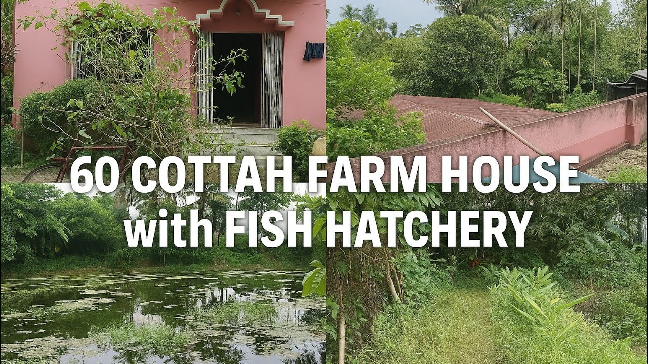 #Realestate 60 COTTAH FARM HOUSE with FISH HATCHERY for Sale. Call 7003944379📱