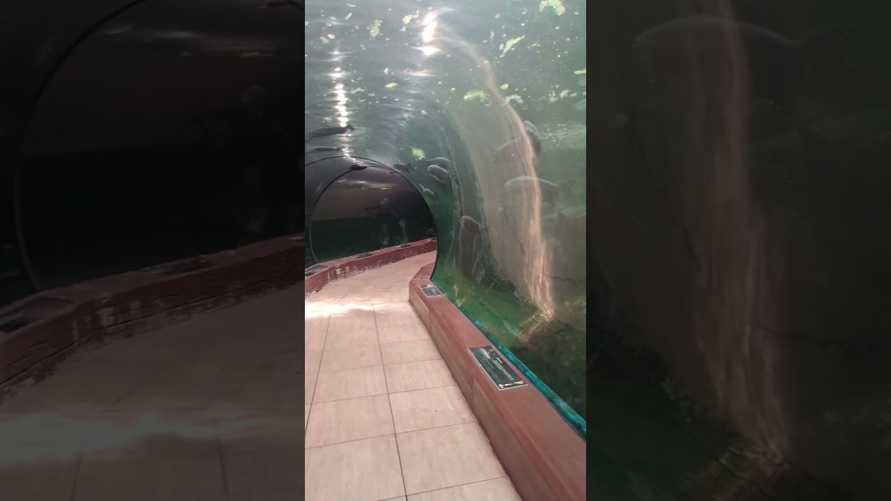 Aquarium Faunia