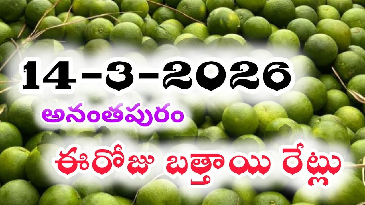 March 14ఈరోజు బత్తాయి రేట్లు|today orange rate in Anantapur, banglore || today mosambi rate in Delhi