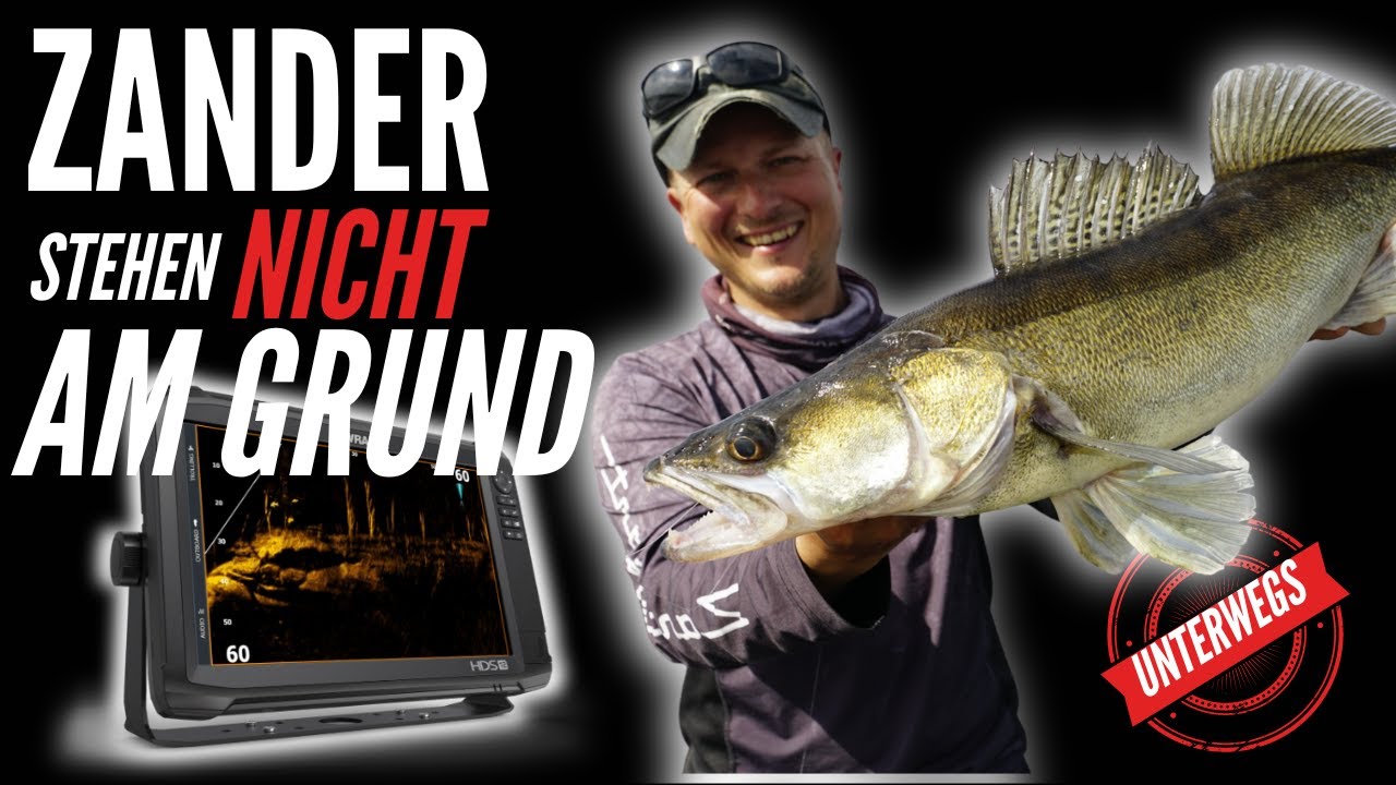 Vlog: Wo sind die größeren Zander im Sommer?