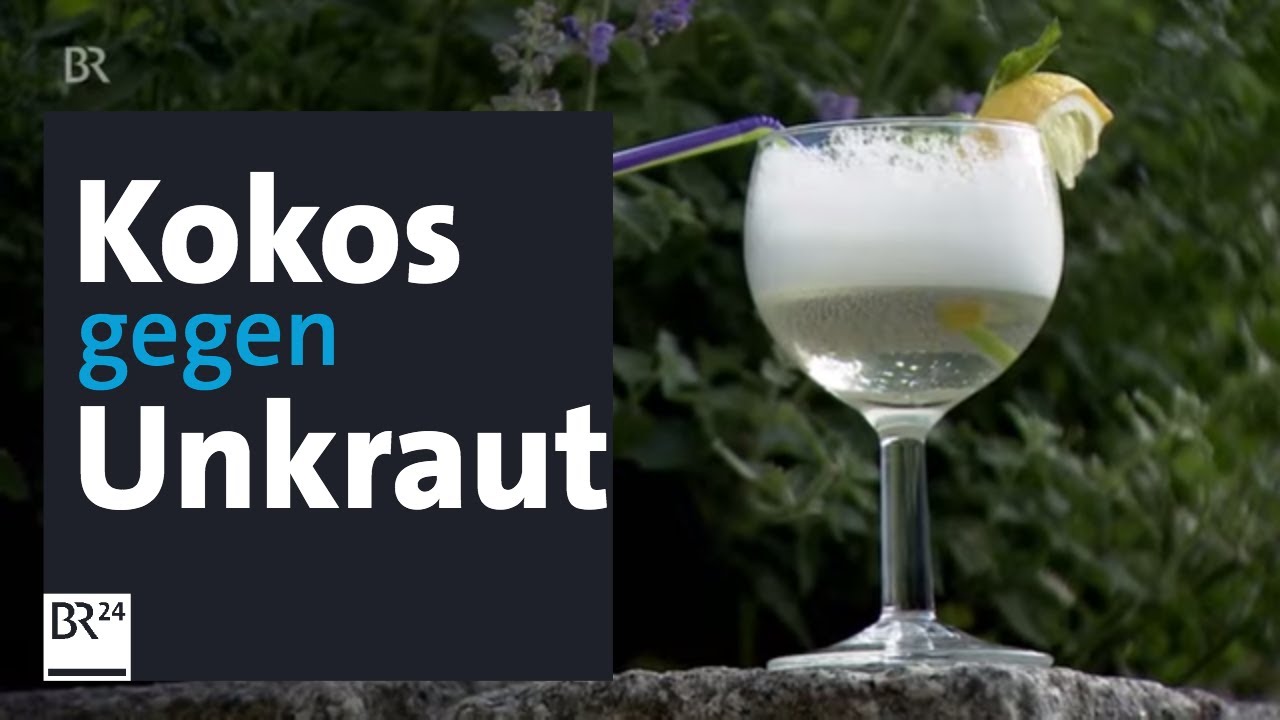Geheimtipp für den Garten: Kokosschaum gegen Unkraut | Abendschau | BR24
