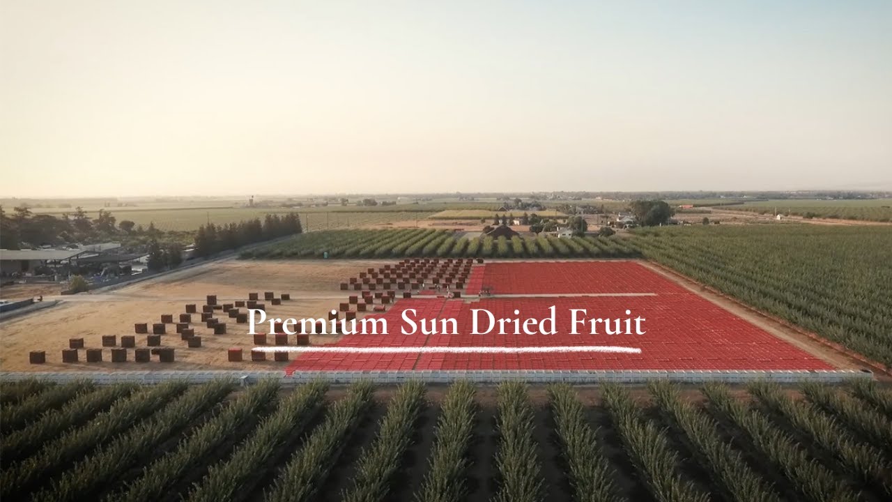 Premium Sun Dried Fruits