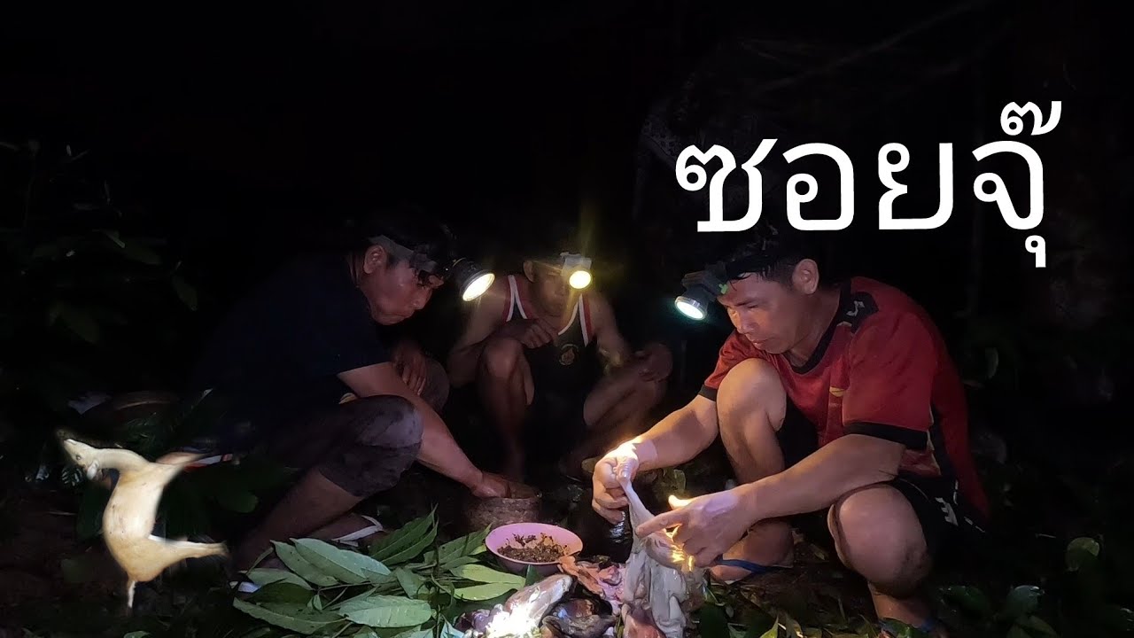 เข้าป่า 3 คน 28 กรกฎาคม ค.ศ. 2024