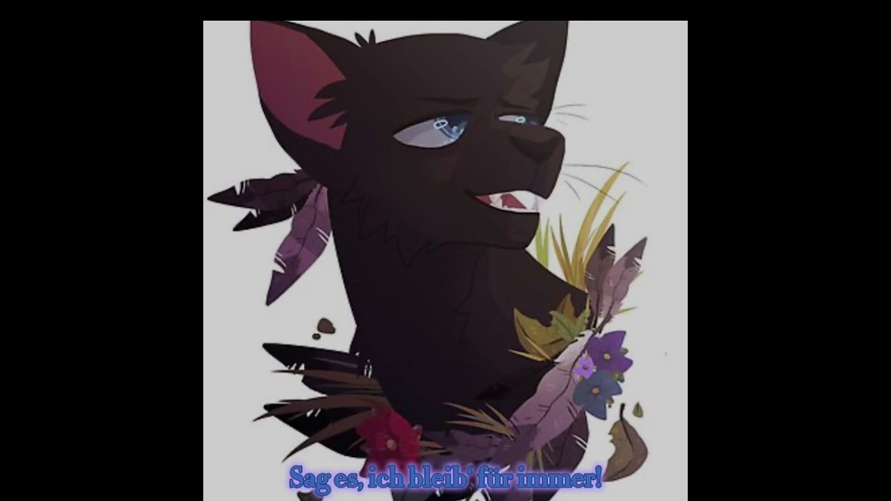 Warrior Cats |~| Federschweif und Krähenpfote |~| Das bist doch du