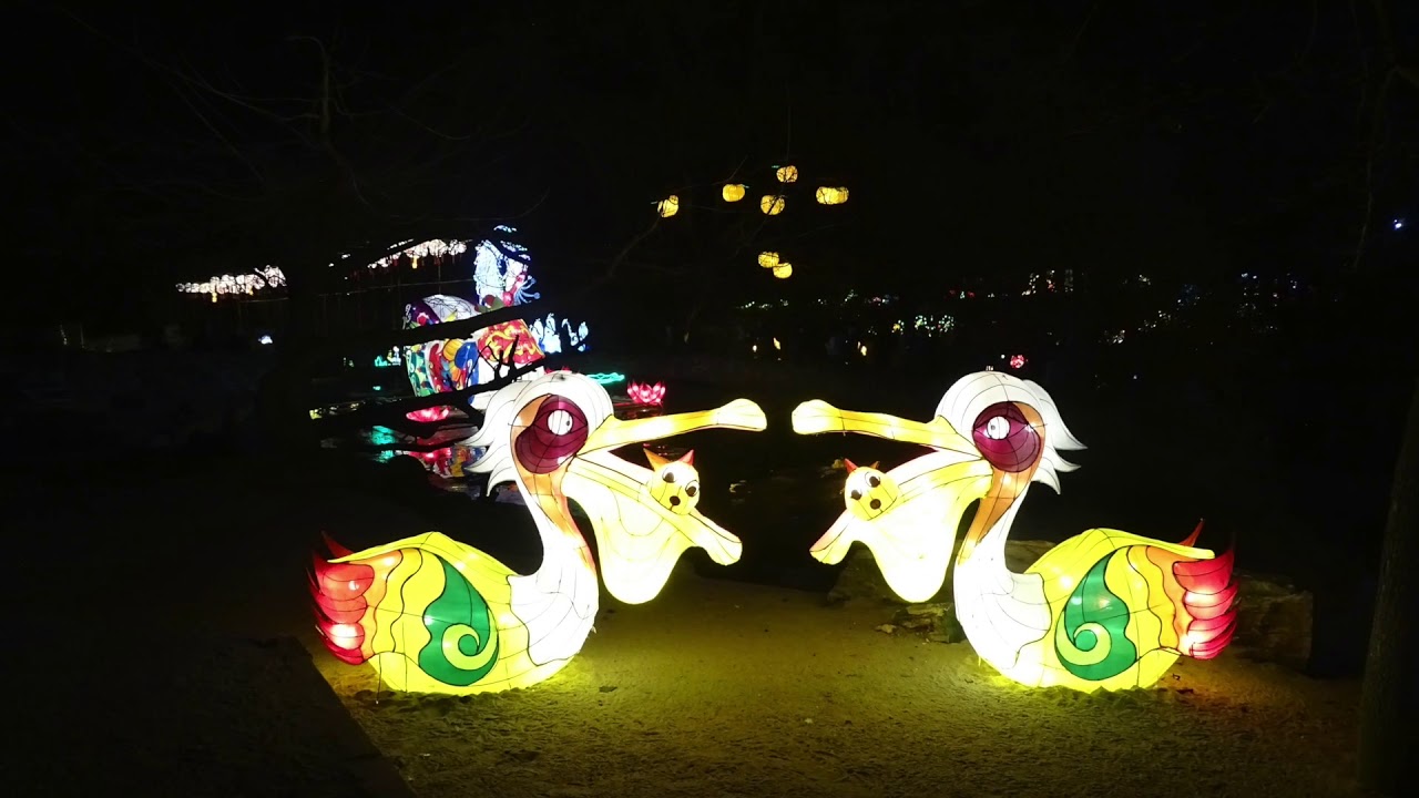 Magische Lichterwelten 2018 Bergzoo Halle