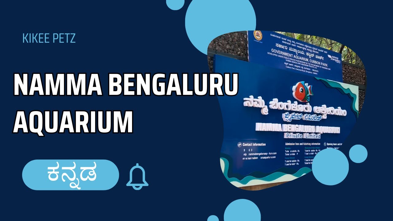 A day at Namma Bengaluru Aquarium 🤩 | Explained in Kannada