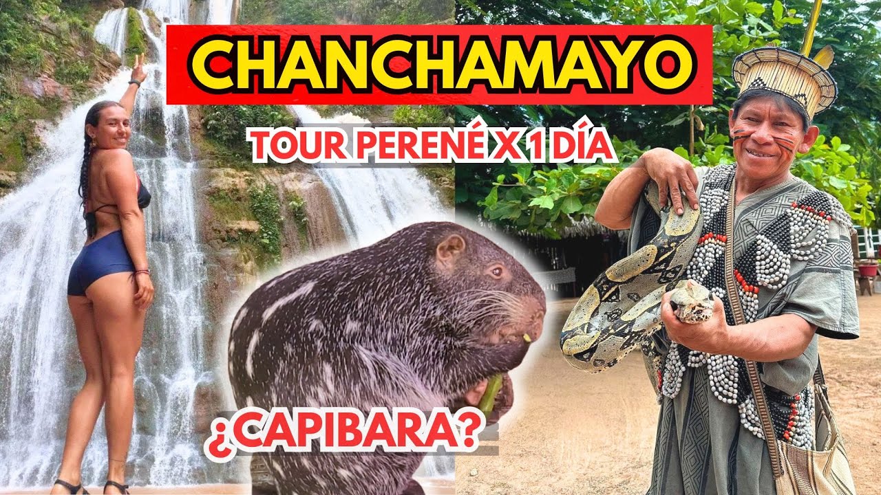 CHANCHAMAYO LA MERCED X 1 DÍA ¿QUE LUGARES SE VISITA EN EL TOUR PERENÉ?
