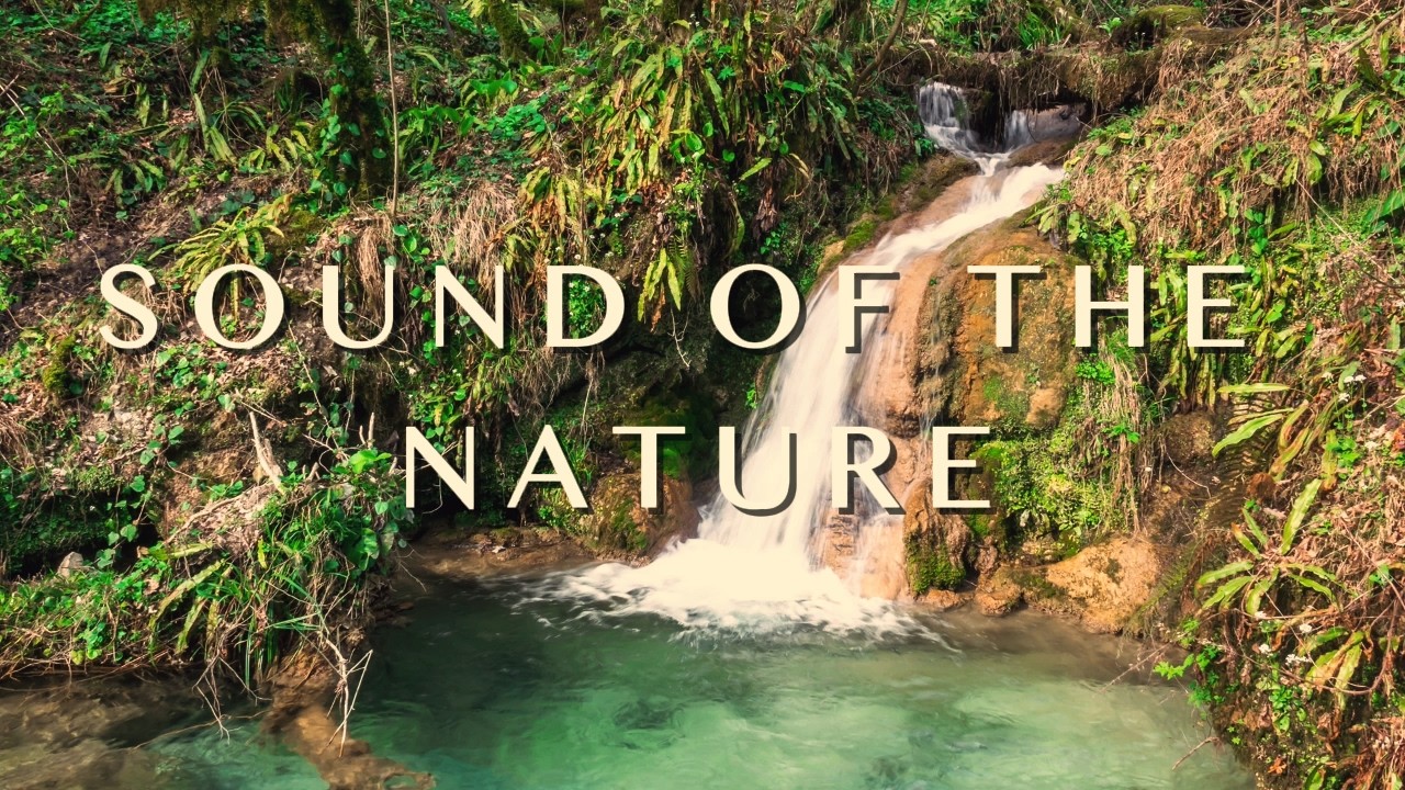 Let This Sound Heal Your Mind and Soul