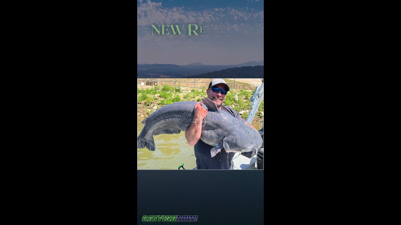 Chase Gibson’s Monster Blue Cat: Now West Virginia’s Length and Weight Record!