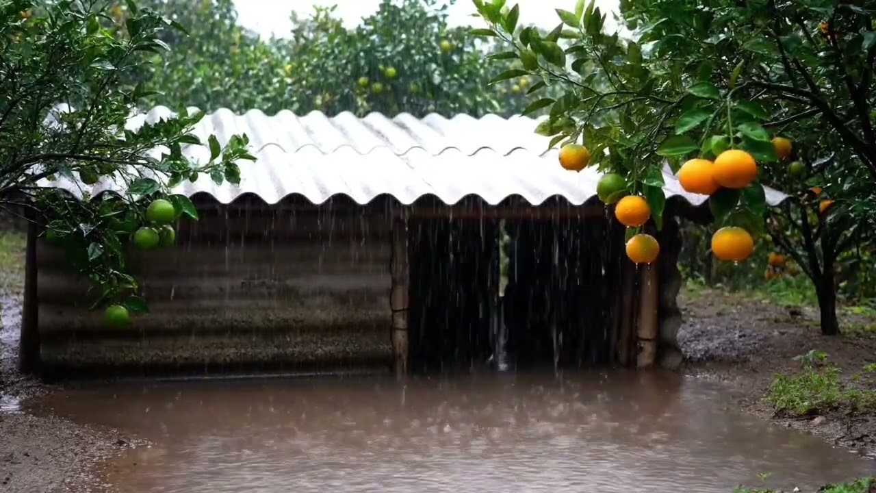 ASMR Rain & Night Insects in Tropical Forest 🦗🌧️ | Nature Ambience