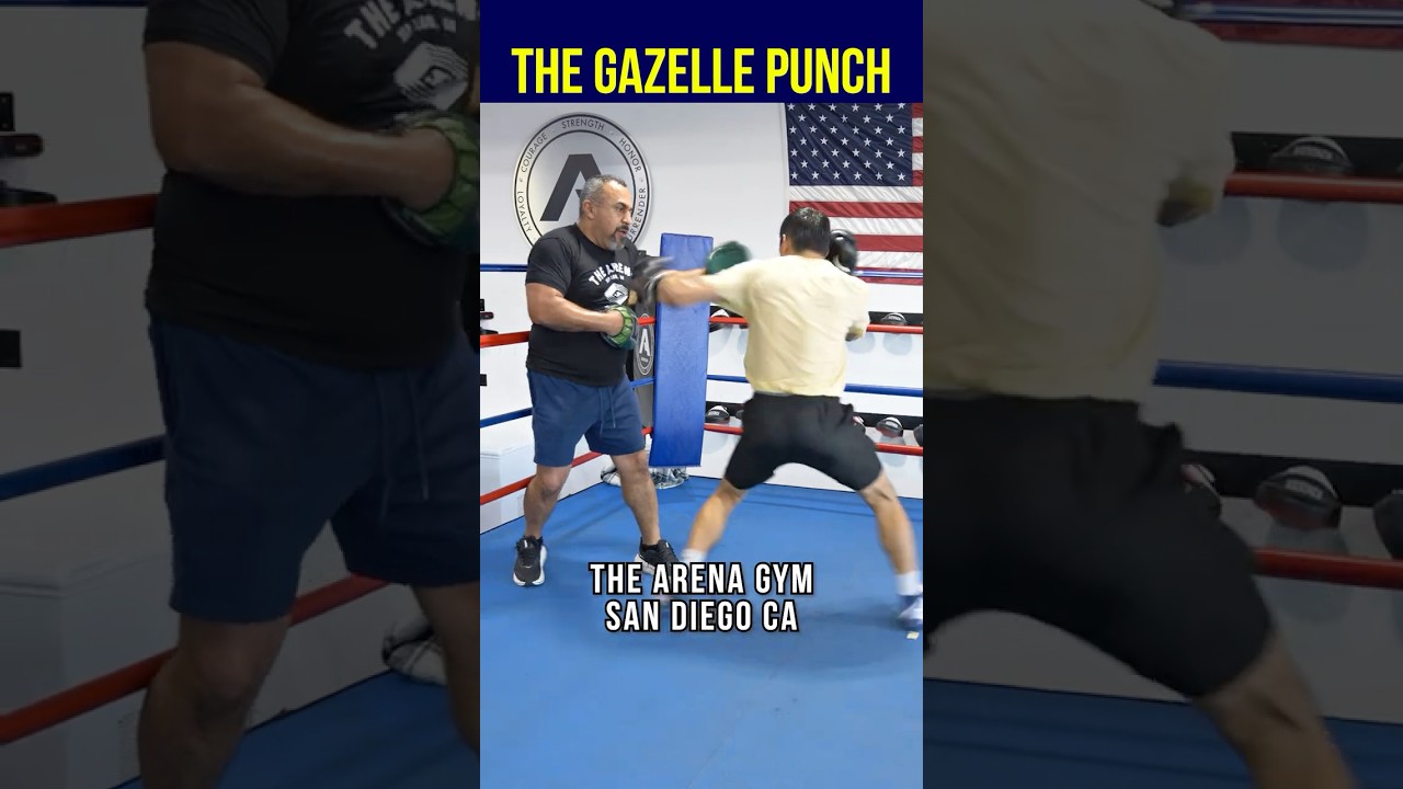 The GAZELLE Punch: Why NO ONE Sees It Coming! 