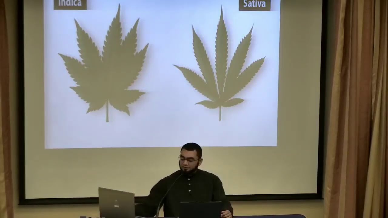 Marijuana & Cannabis in Islam