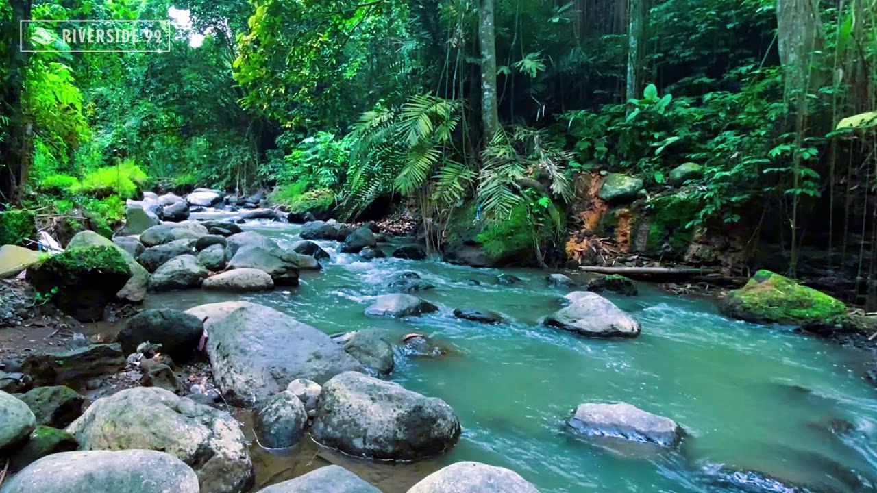 River Sounds for Sleeping | Deep Calm Flowing Water White Noise for Stress Relief All Night