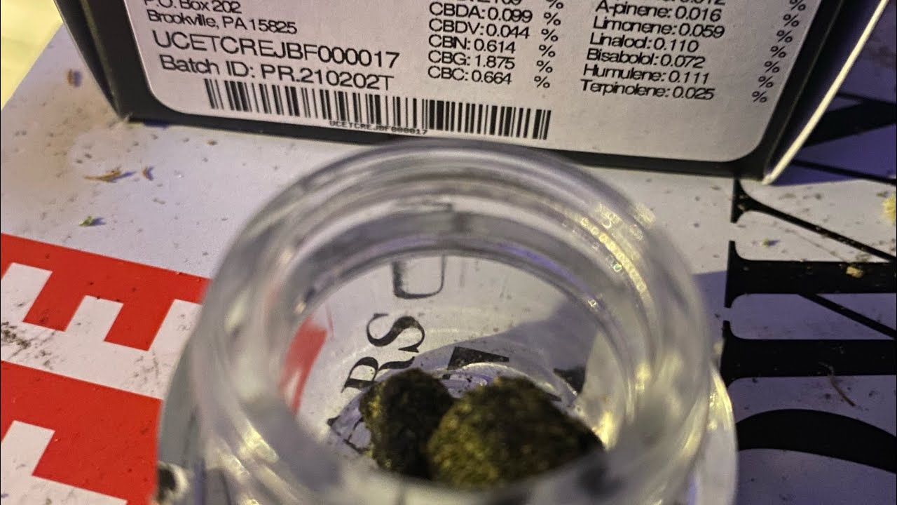 👾💨Medical Marijuana Review #114 : Critical Purple Kush Caviar : Cresco Reserve