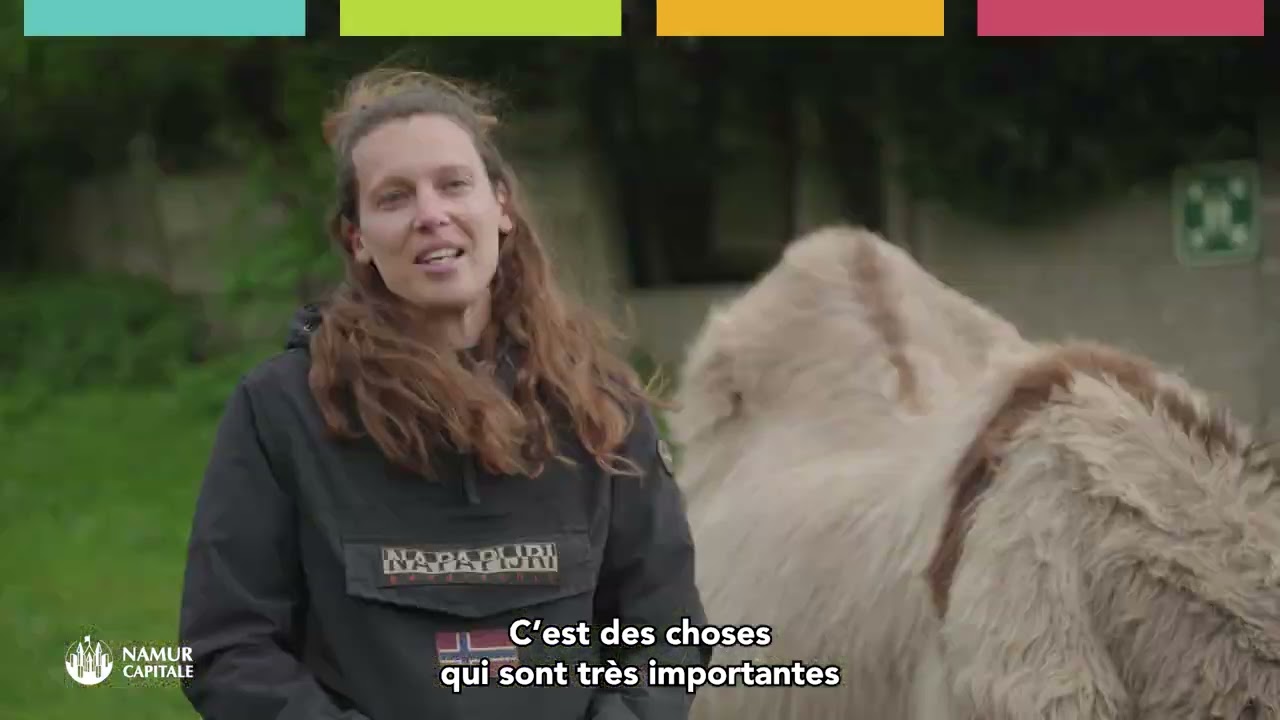 Budget participatif de Namur : des projets citoyens pour renforcer la cohésion sociale