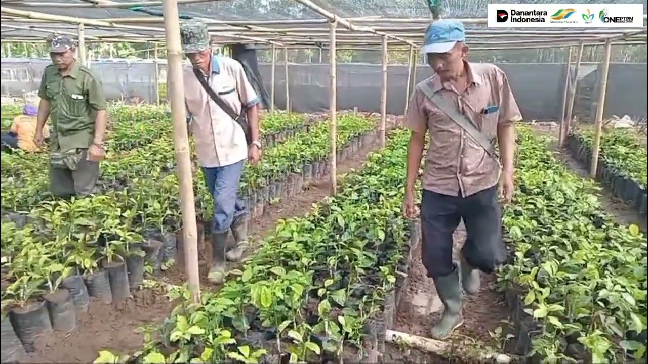 SADARI_Kebun Malangsari_Februari 2026