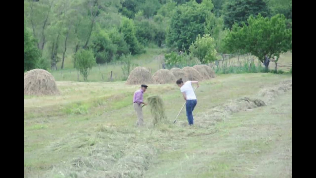 Posof'ta Bi&ccedil;in Zamanı (Armutveren/Papola K&ouml;y&uuml;)