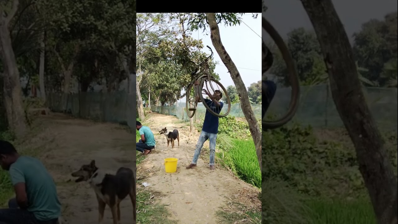 #Sorry#Ki dosti# Mera #kholo# re bha#i funny# video#1🥰🤗🌺💓🎉🌹🥀🥺🥹