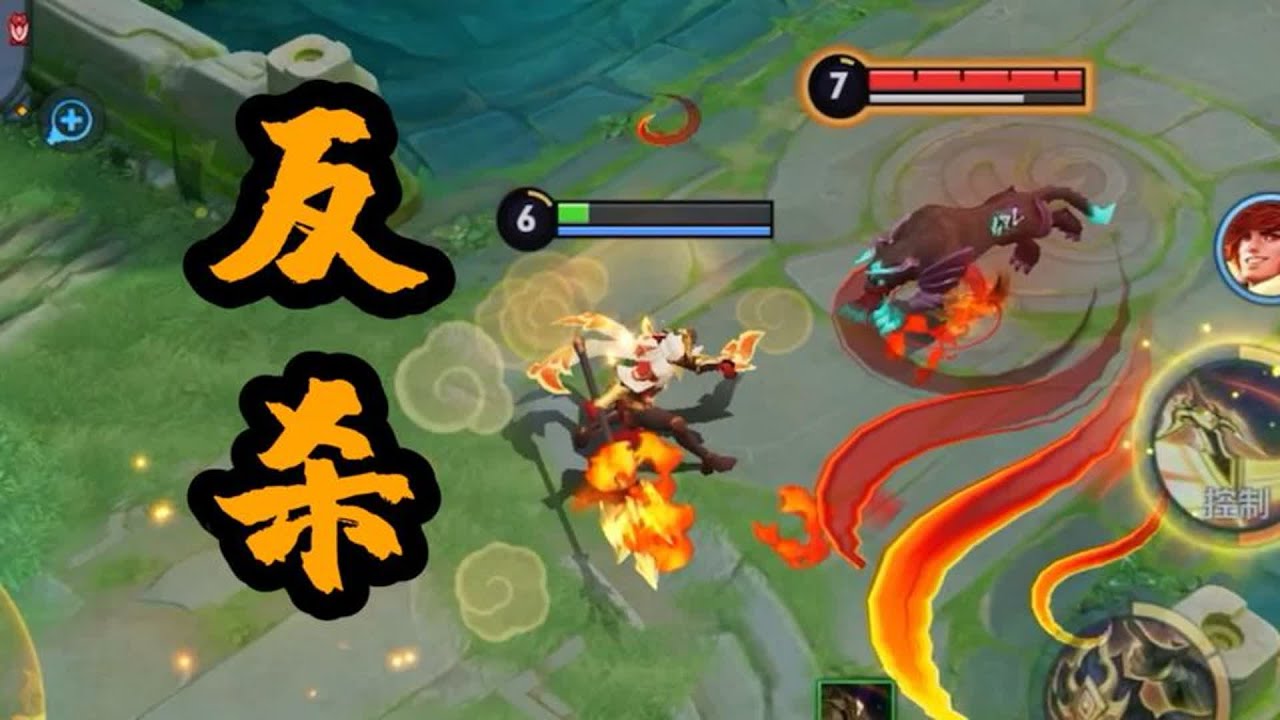 【铁根】小小老虎，也想挑战真君吗！ 