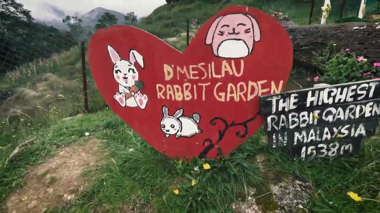 D'mesilau Rabbit Garden Kundasang Sabah