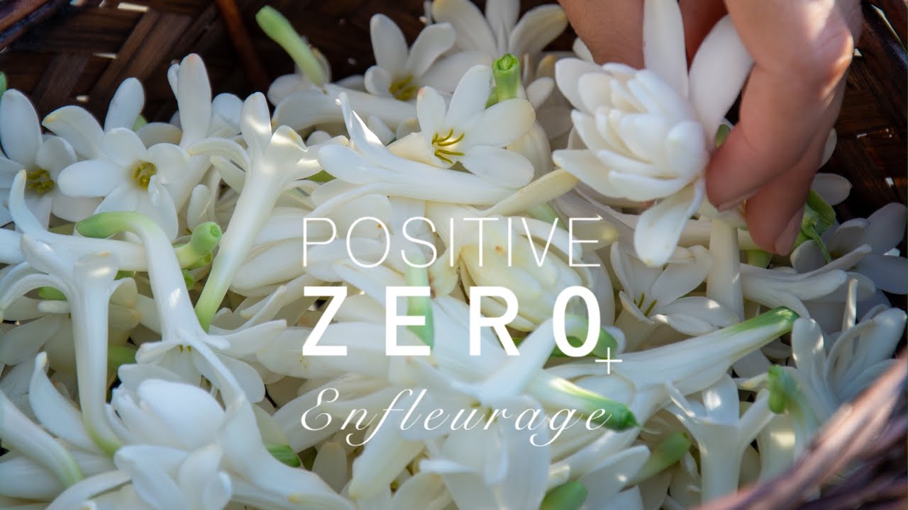 Tuberose Enfleurage | POSITIVE ZERO