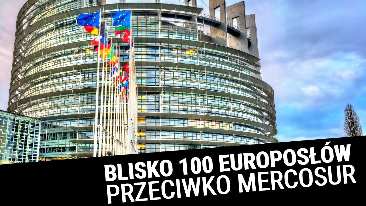 13.11: Mercosur a PE, lider AfD o Polsce, powstała partia TRUMP, reforma emerytalna we Francji