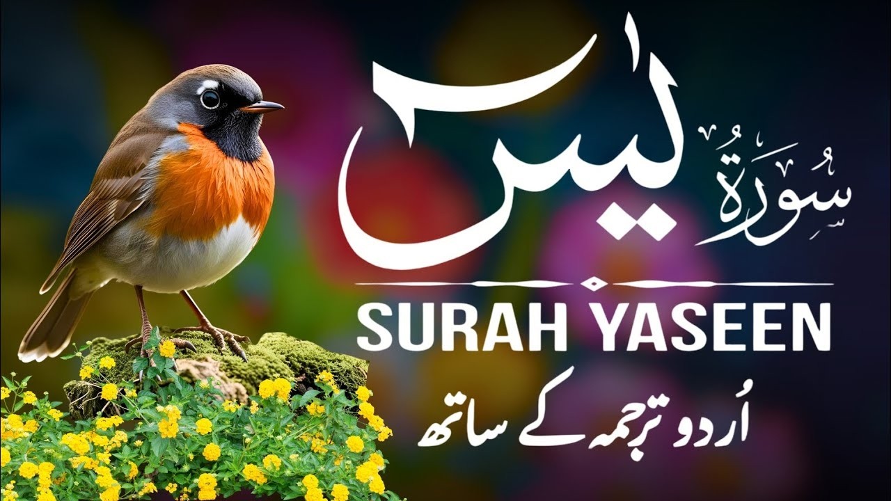 Surah Yaseen | Surah Yaseen With Urdu Translation | Al Furqan Studio | Ep128