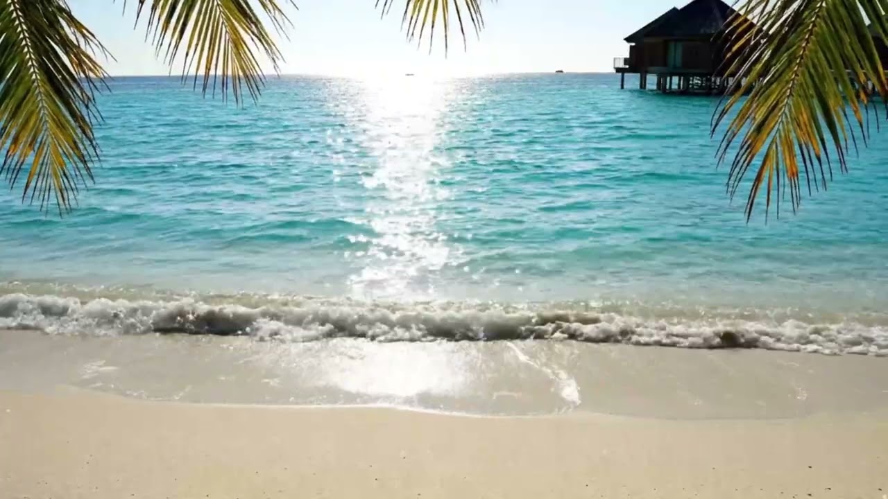 Private Beach in Maldives: Infinite Abundance and Deep Relaxation (4K ASMR)