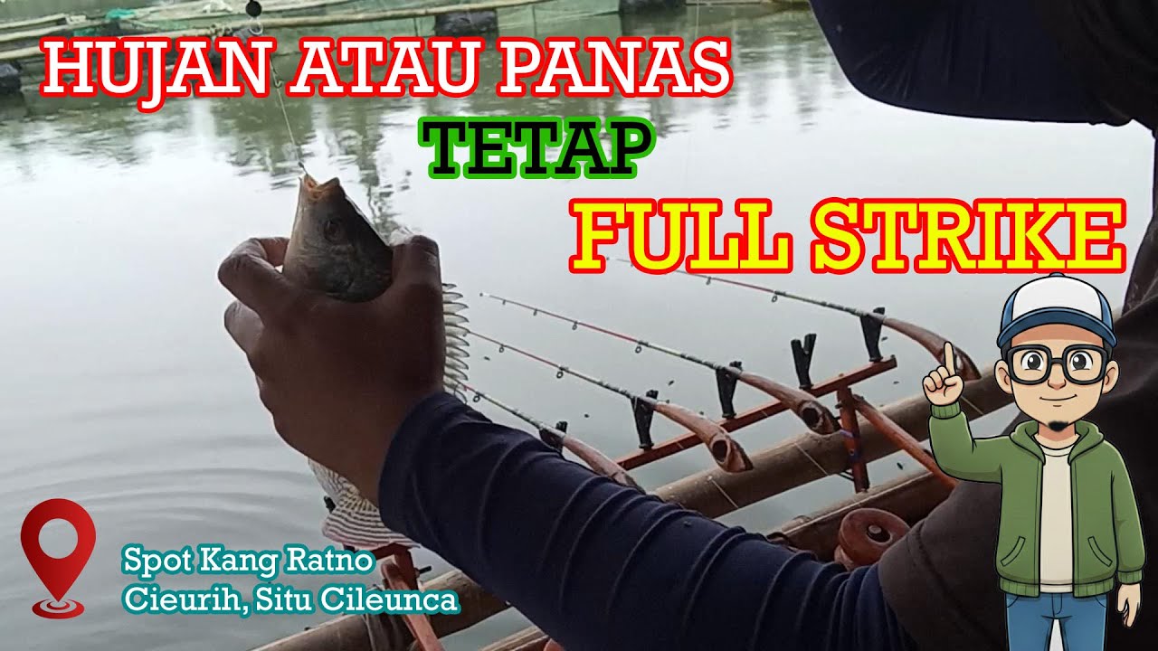Mancing di situ cileunca pangalengan: hasil mancing yang luar biasa full strike 🔥🔥