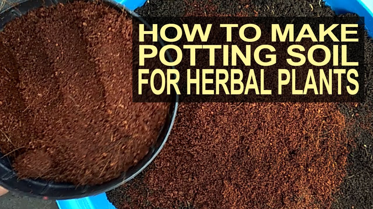 How To Make Potting Soil For Herbal Plants I Paano Ang Paggawa Ng Potting Soil Para Sa Herbal Plants