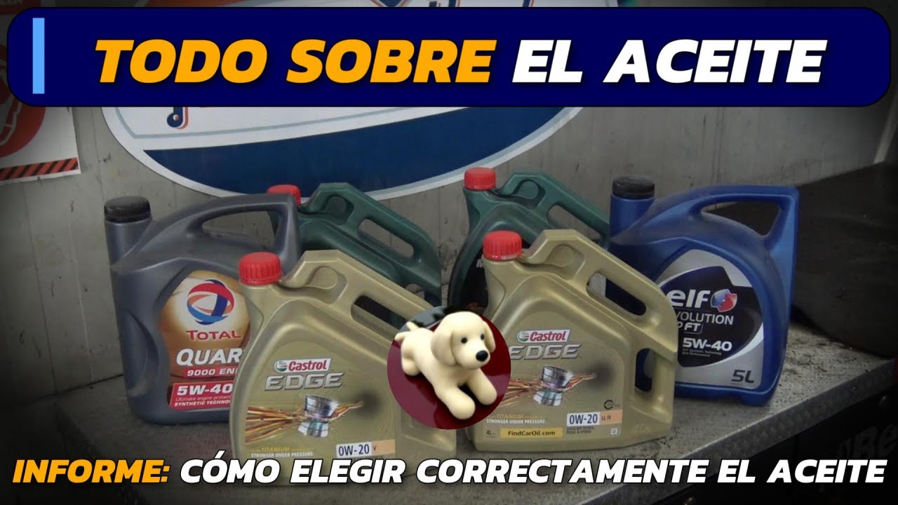 C&oacute;mo elegir el aceite adecuado para tu coche