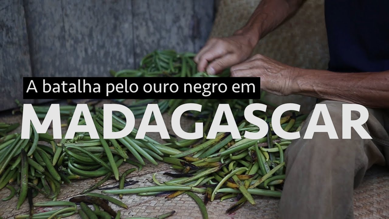 O verdadeiro preço da baunilha - parte 3