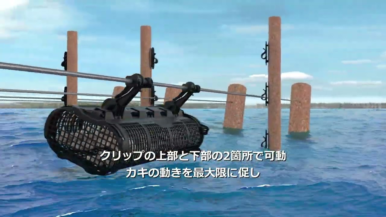 SEAPA GTX Japan