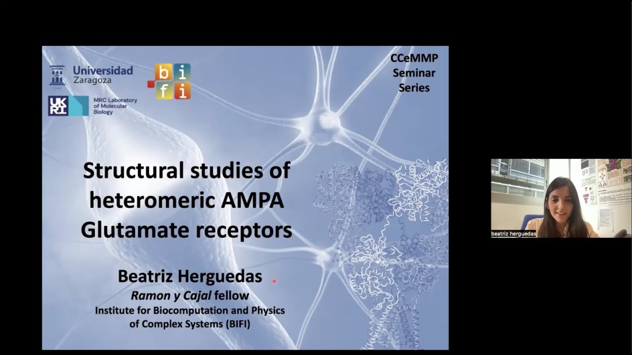 Structural studies of heteromeric AMPA Glutamate receptors